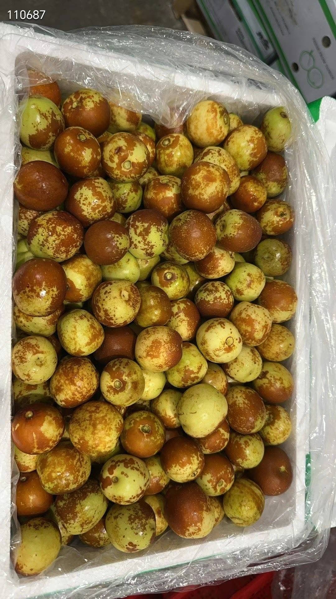 新鮮冬棗3磅裝