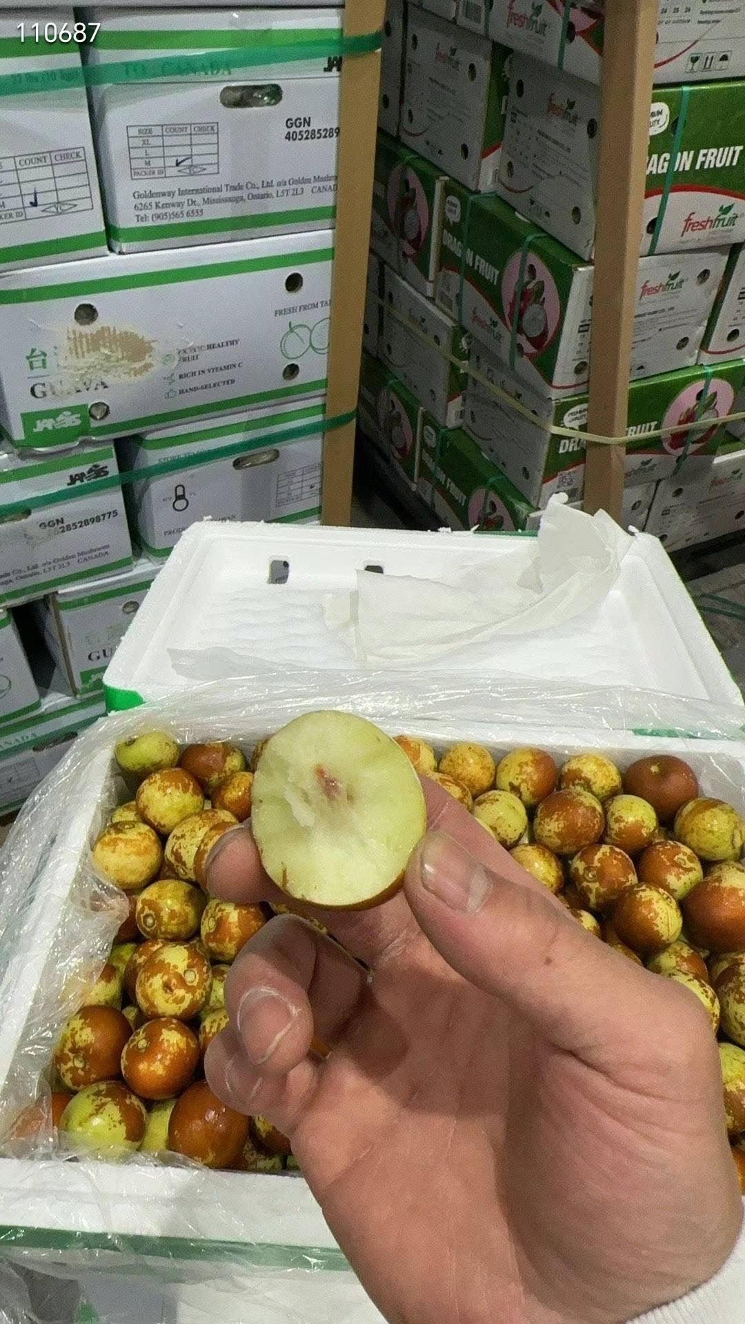 新鮮冬棗3磅裝