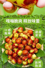 新鮮冬棗3磅裝