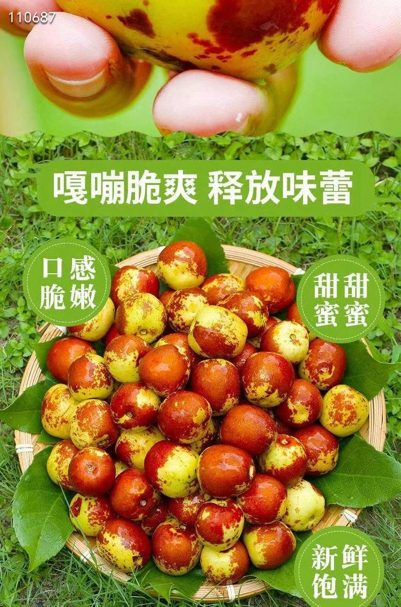 新鮮冬棗3磅裝