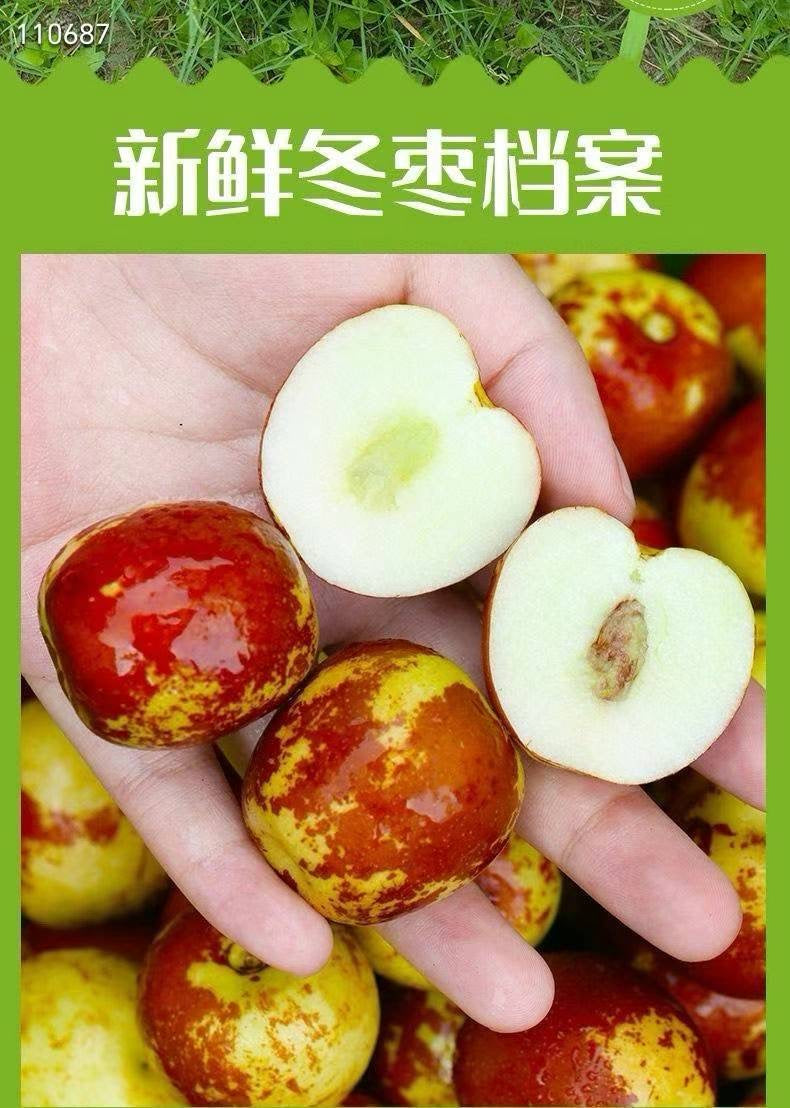 新鮮冬棗3磅裝