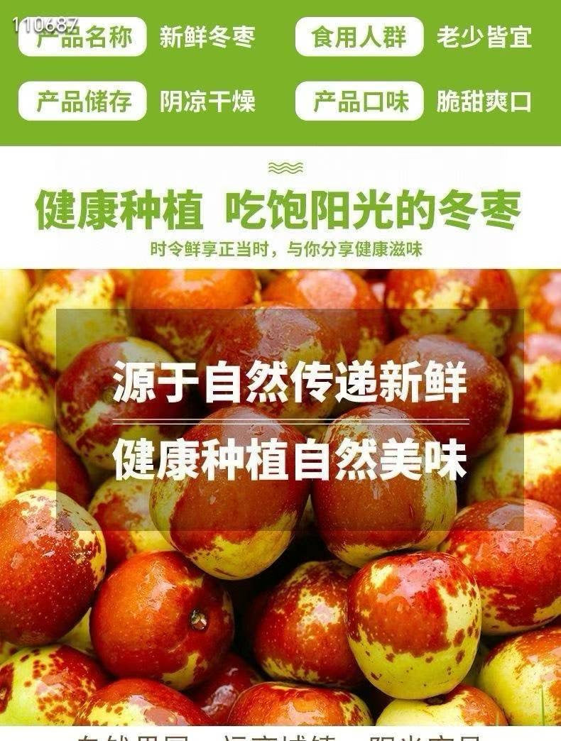 圖片替代文字