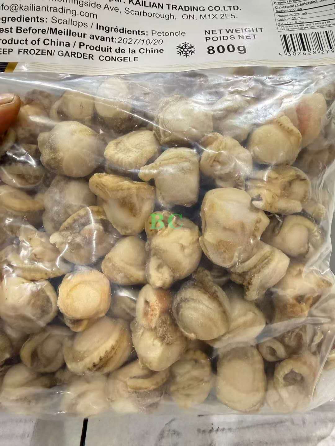 去壳扇贝肉 800g 冷冻装 无沙无壳