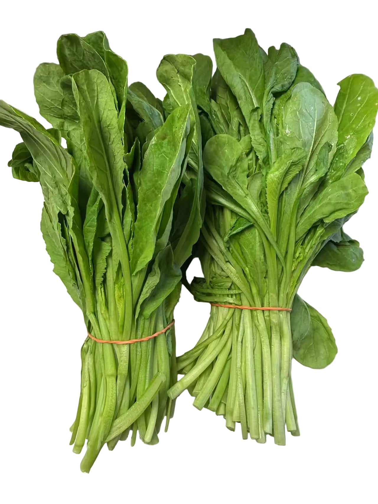 农场直达荠菜仔苗 2扎｜约1.3磅