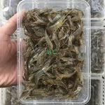 冰鲜河虾（4-6cm）250g