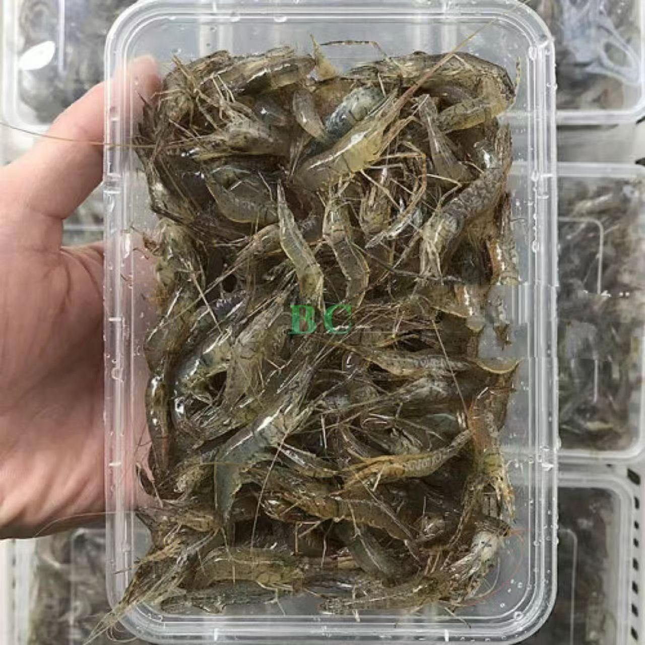 冰鲜河虾（4-6cm）250g