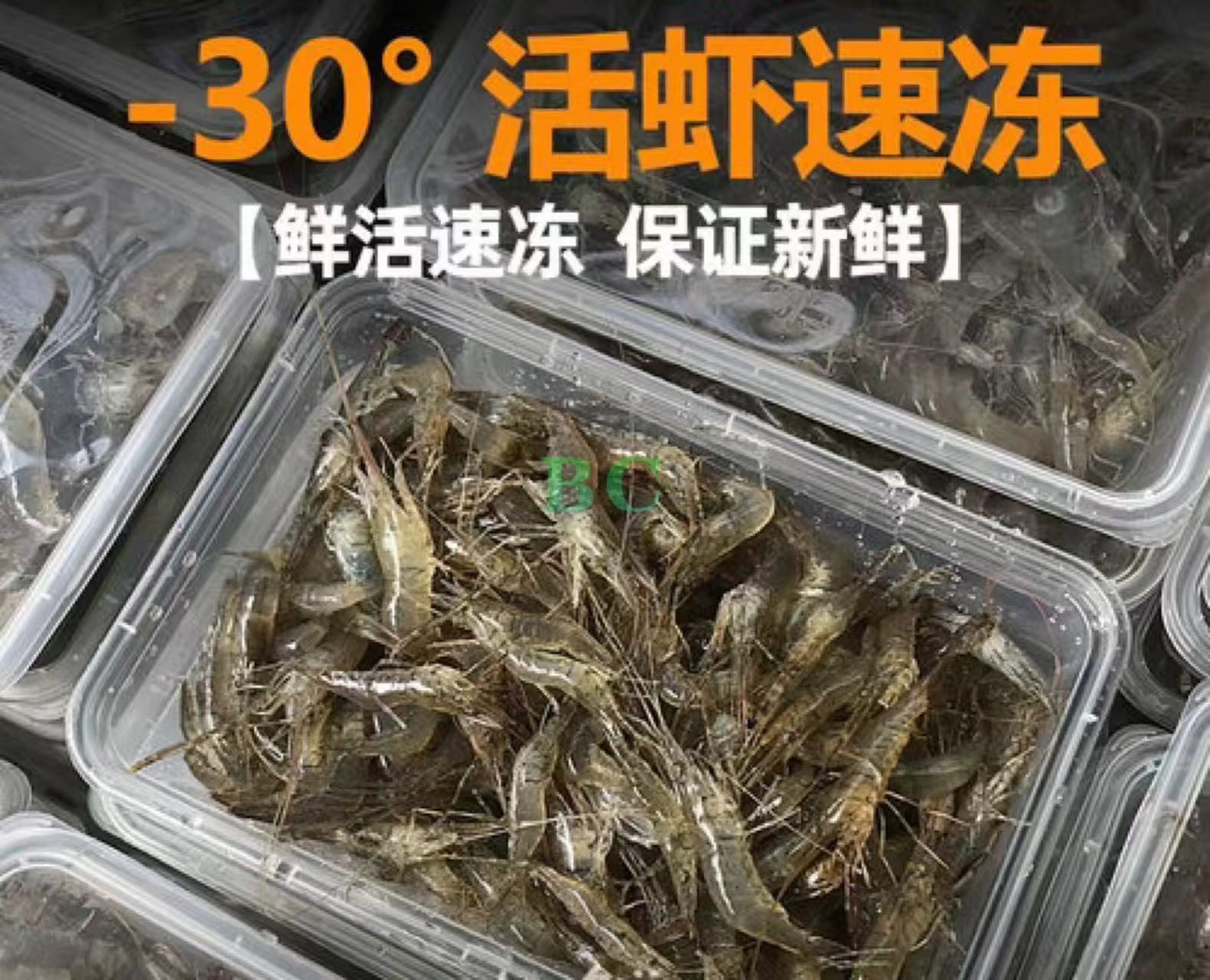 冰鲜河虾（4-6cm）250g
