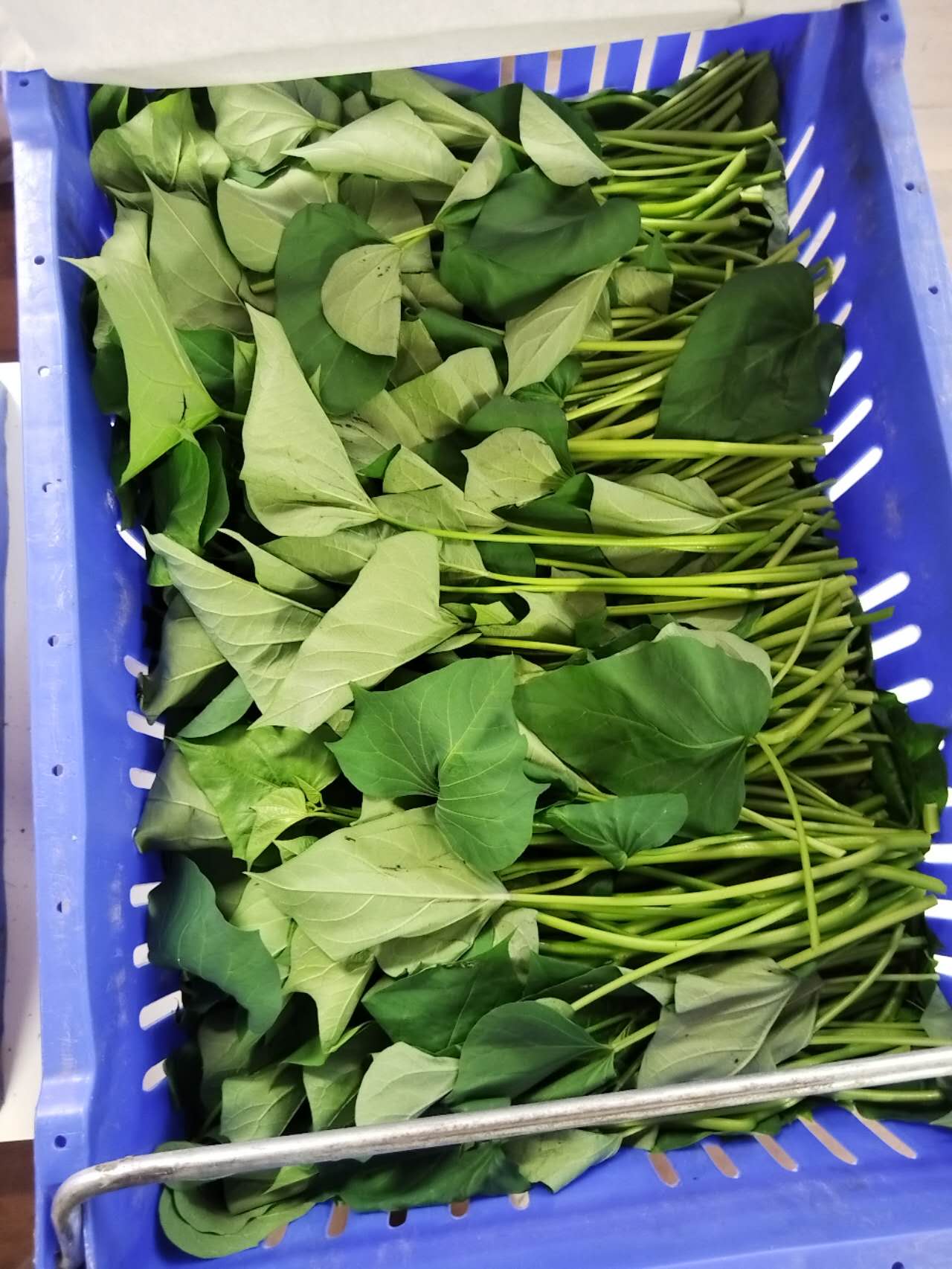 中興優選農場直達番薯葉1 Lb
