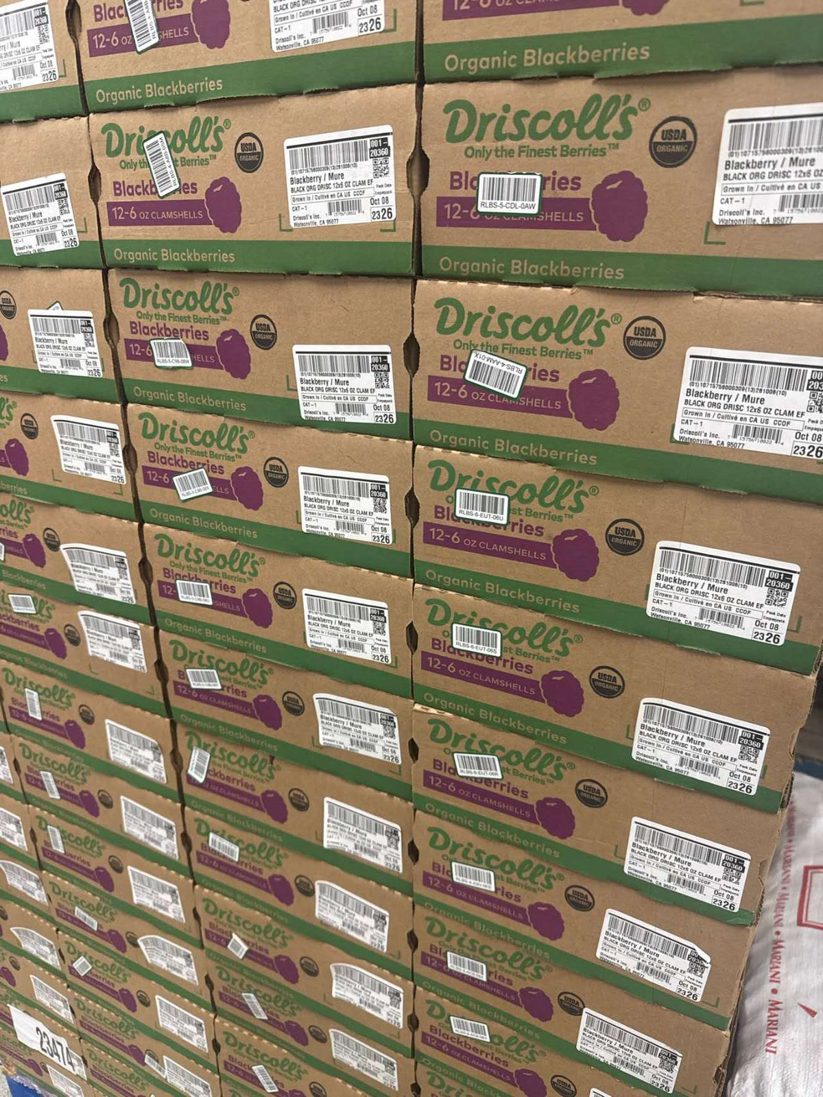 Driscoll’s有机黑莓 170g｜盒装/整箱