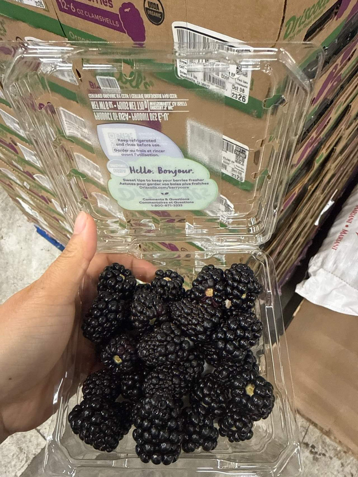 Driscoll’s有机黑莓 170g｜盒装/整箱