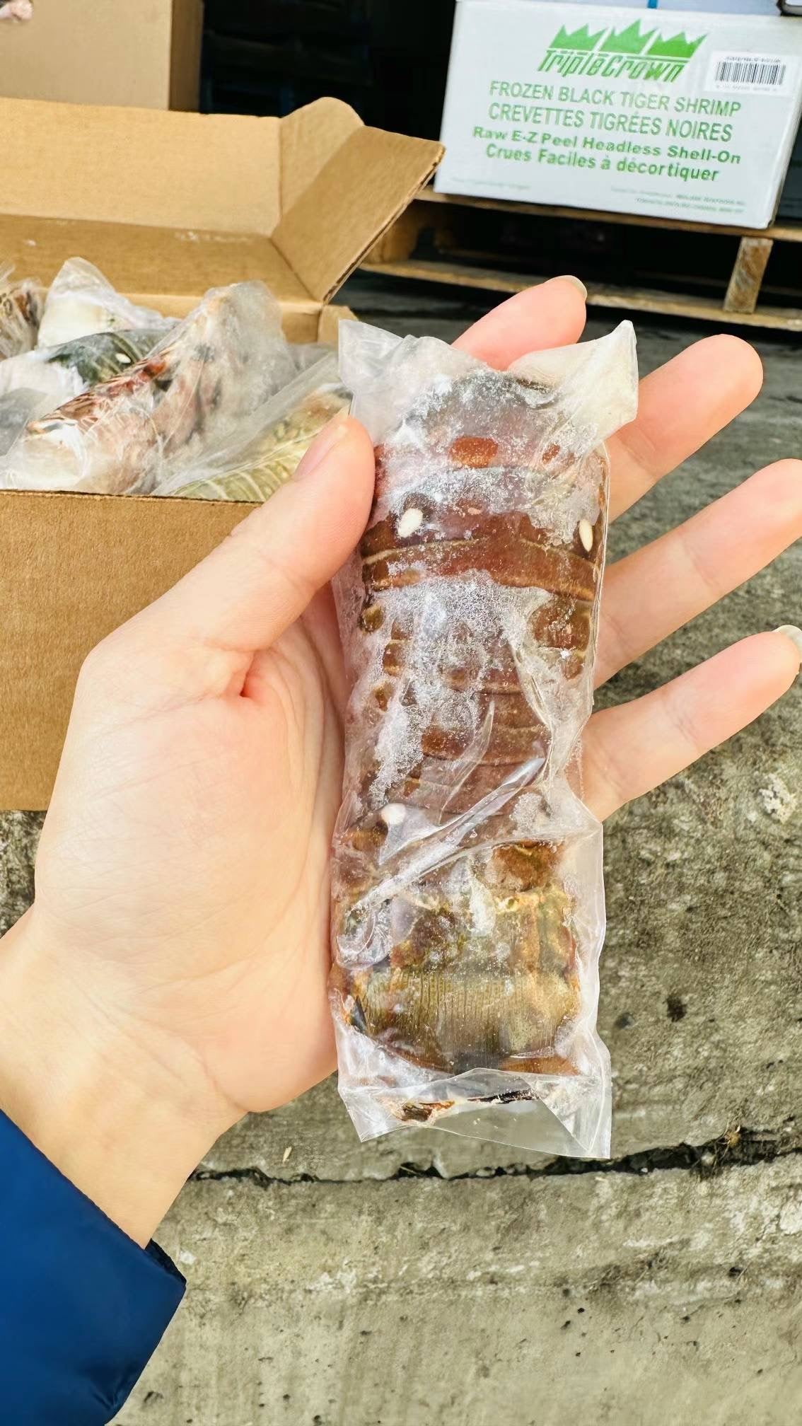 鲜急冻南美大个龍蝦尾 5只