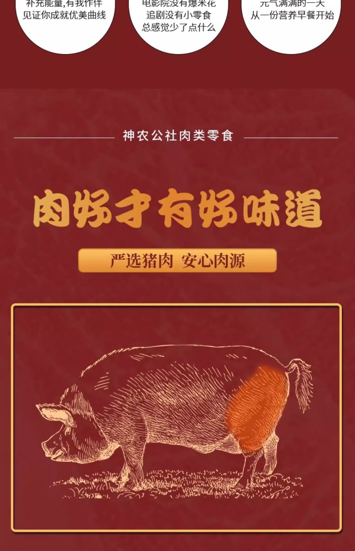 Shennong Commune Pork Jerky
