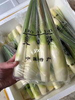 新鮮空運茭白1磅*3包