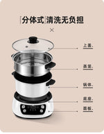 Internet-famous multi-functional split electric hot pot 110v North American version