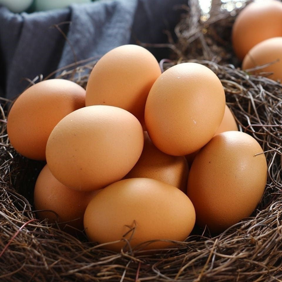 XL Yellow Shell Free-Range Eggs - Pick-up Only