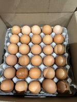 XL Yellow Shell Free-Range Eggs - Pick-up Only