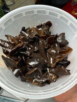 Northeast Black Fungus 1 lb