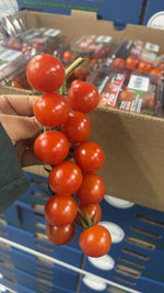 Cherry Tomatoes, Half a Box, 4 Trays