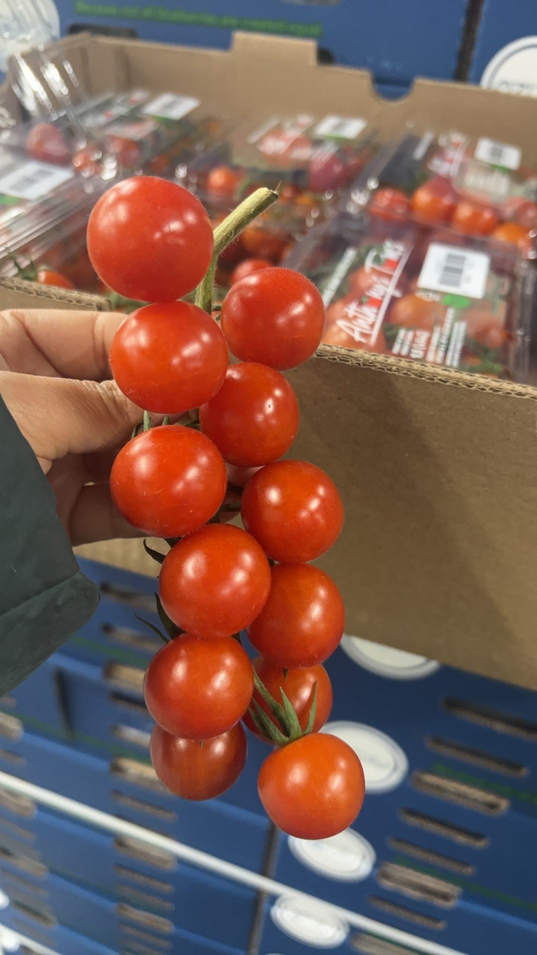 Cherry Tomatoes, Half a Box, 4 Trays