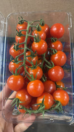 Cherry Tomatoes, Half a Box, 4 Trays