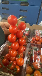 Cherry Tomatoes, Half a Box, 4 Trays