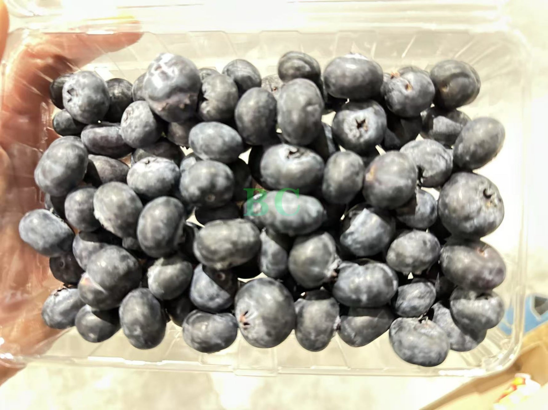 网红蓝莓Driscoll's (large size) $3.12 per box
