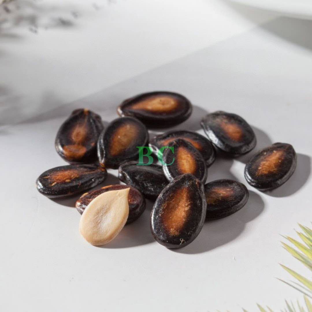 Maple Brand Licorice Melon Seeds 1lb