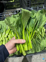 新鮮油菜4磅