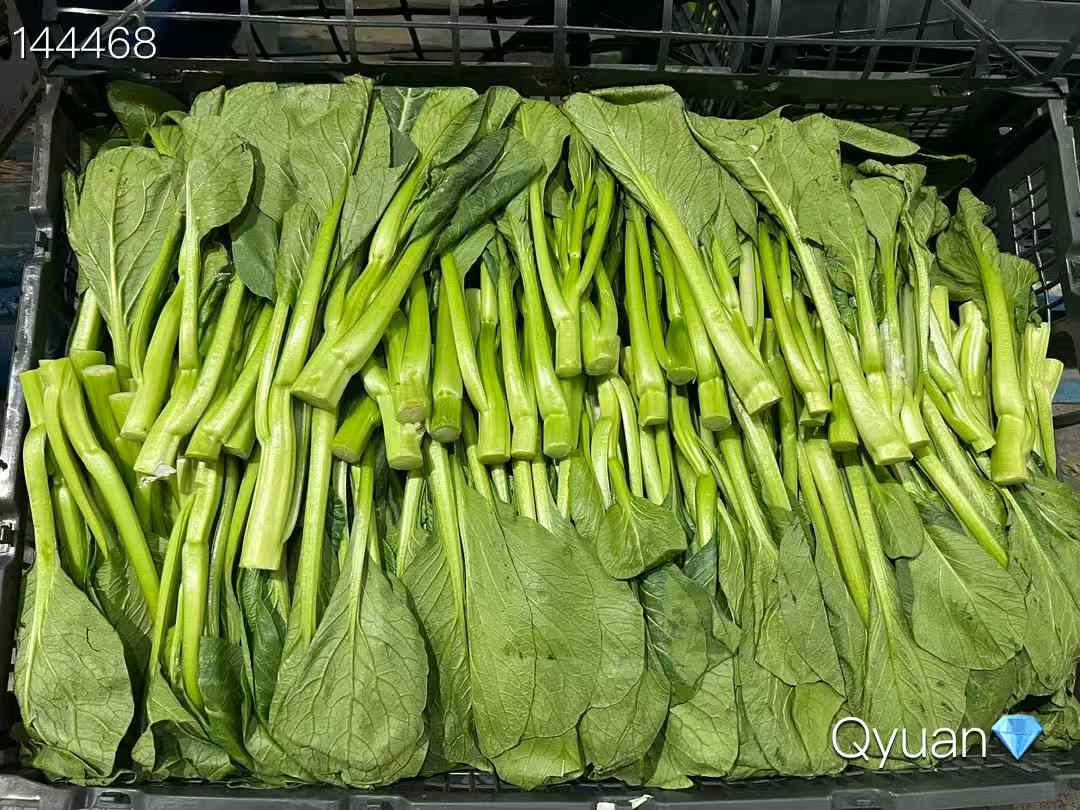新鮮油菜4磅