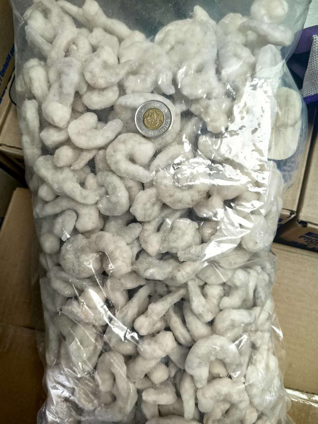 Premium Large Shrimp (71/90) 5 lb