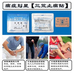 日本三笠制药镇痛贴 70mg 14枚 | 医院专用 肌肉关节镇痛