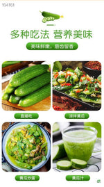 新鲜长青瓜（黄瓜） 2根 脆甜爽口