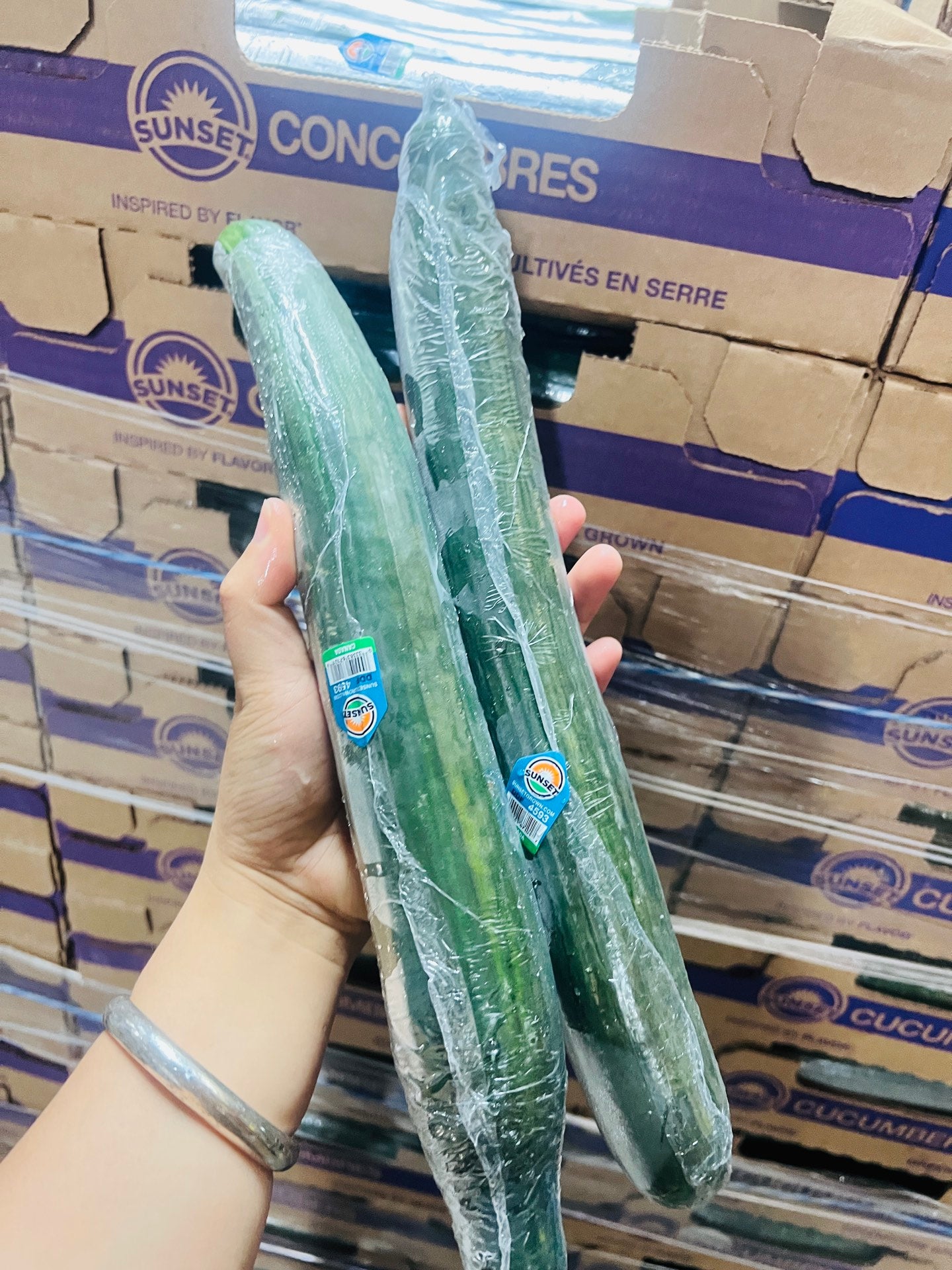 新鲜长青瓜（黄瓜） 2根 脆甜爽口