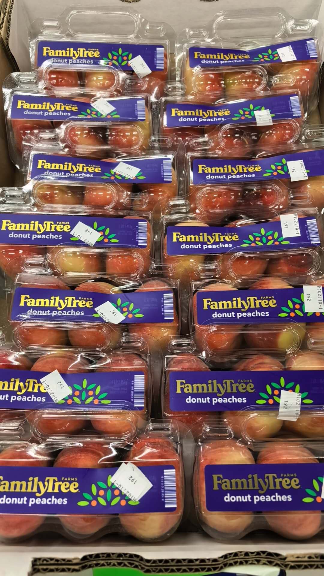 FamilyTree 精品蕃桃 2盒装 鲜甜多汁 当季当令