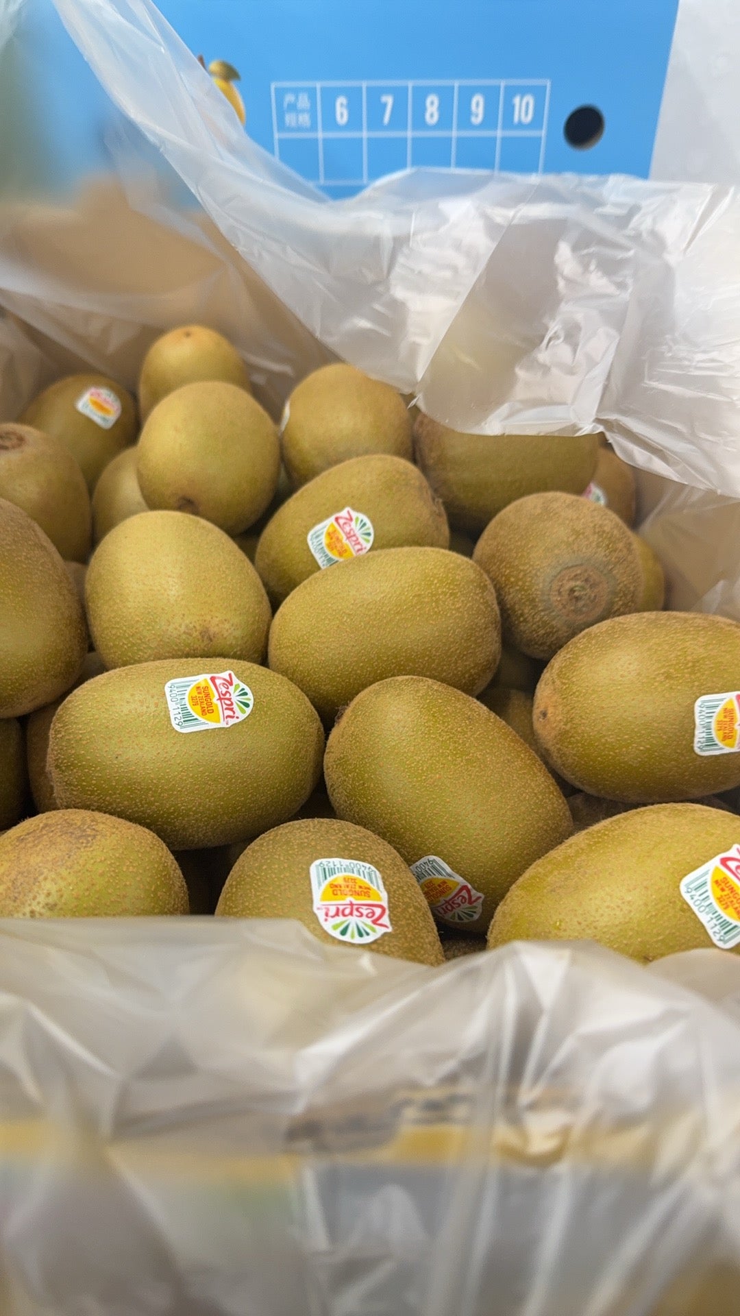 Zespri 黄金奇异果 5个｜甘甜多汁高VC