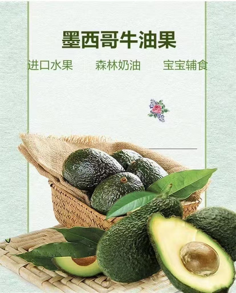 新鲜牛油果 6个/袋｜高纤维高VC