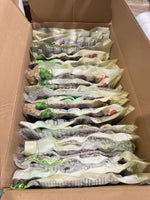 冻煮带壳花蛤 400g/包｜火锅式点鲜香下饭
