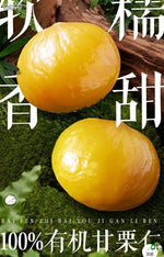 Organic 有机板栗仁 100g