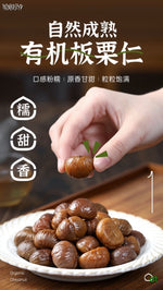 Organic 有机板栗仁 100g