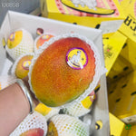 秘鲁太阳之子芒果 每磅价格（按实际重量计算）