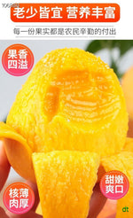 秘鲁太阳之子芒果 每磅价格（按实际重量计算）
