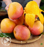 秘鲁太阳之子芒果 每磅价格（按实际重量计算）