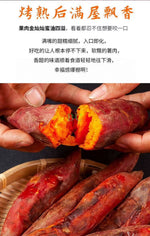 西瓜红沙地蜜薯 5磅