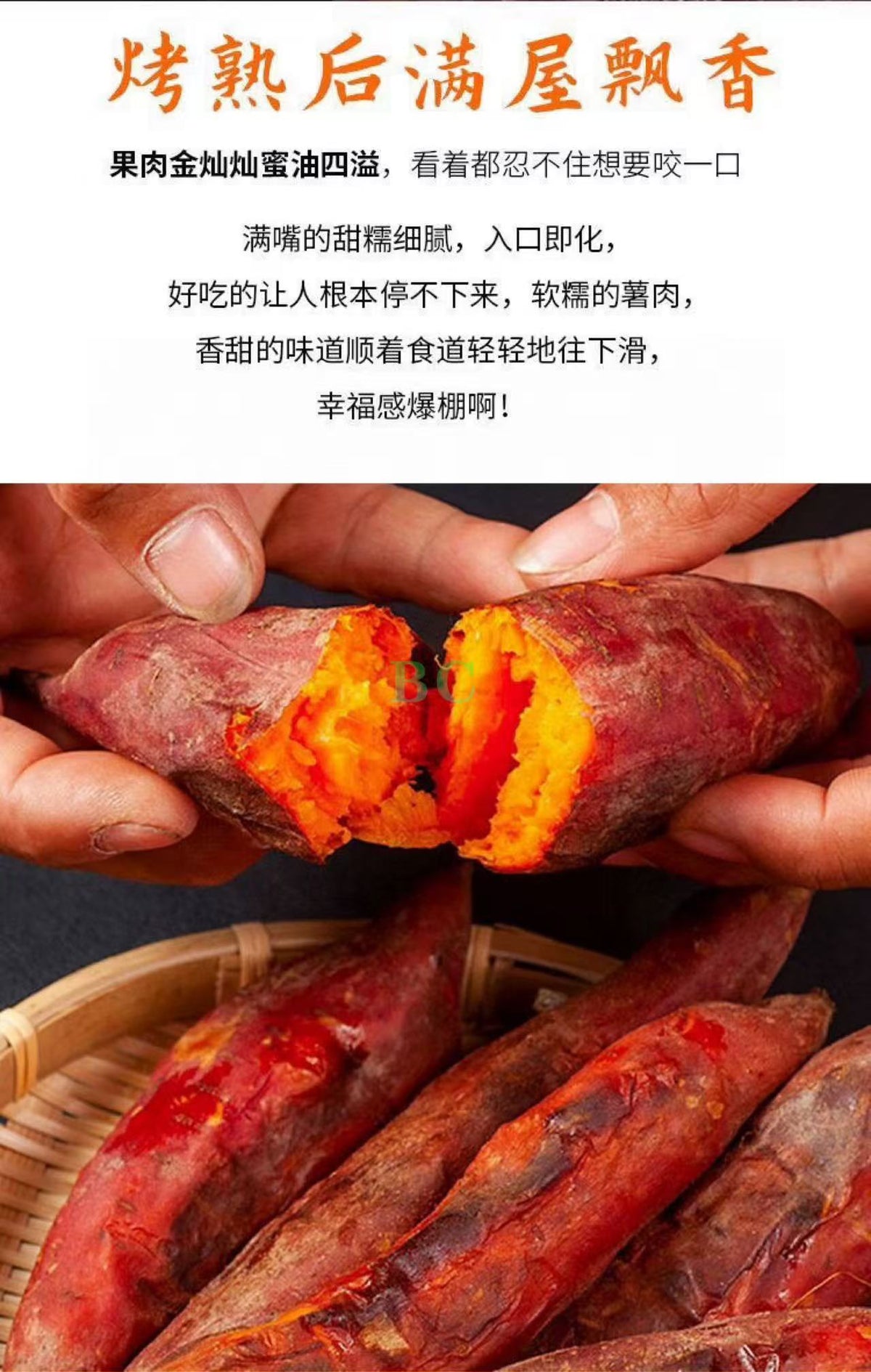 西瓜红沙地蜜薯 5磅