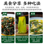 东洛岛速冻海带苗 500g｜脆嫩爽滑