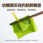 东洛岛速冻海带苗 500g｜脆嫩爽滑