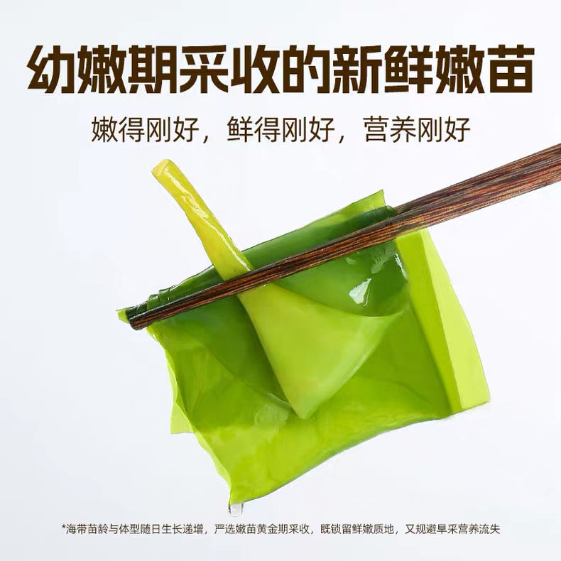 东洛岛速冻海带苗 500g｜脆嫩爽滑