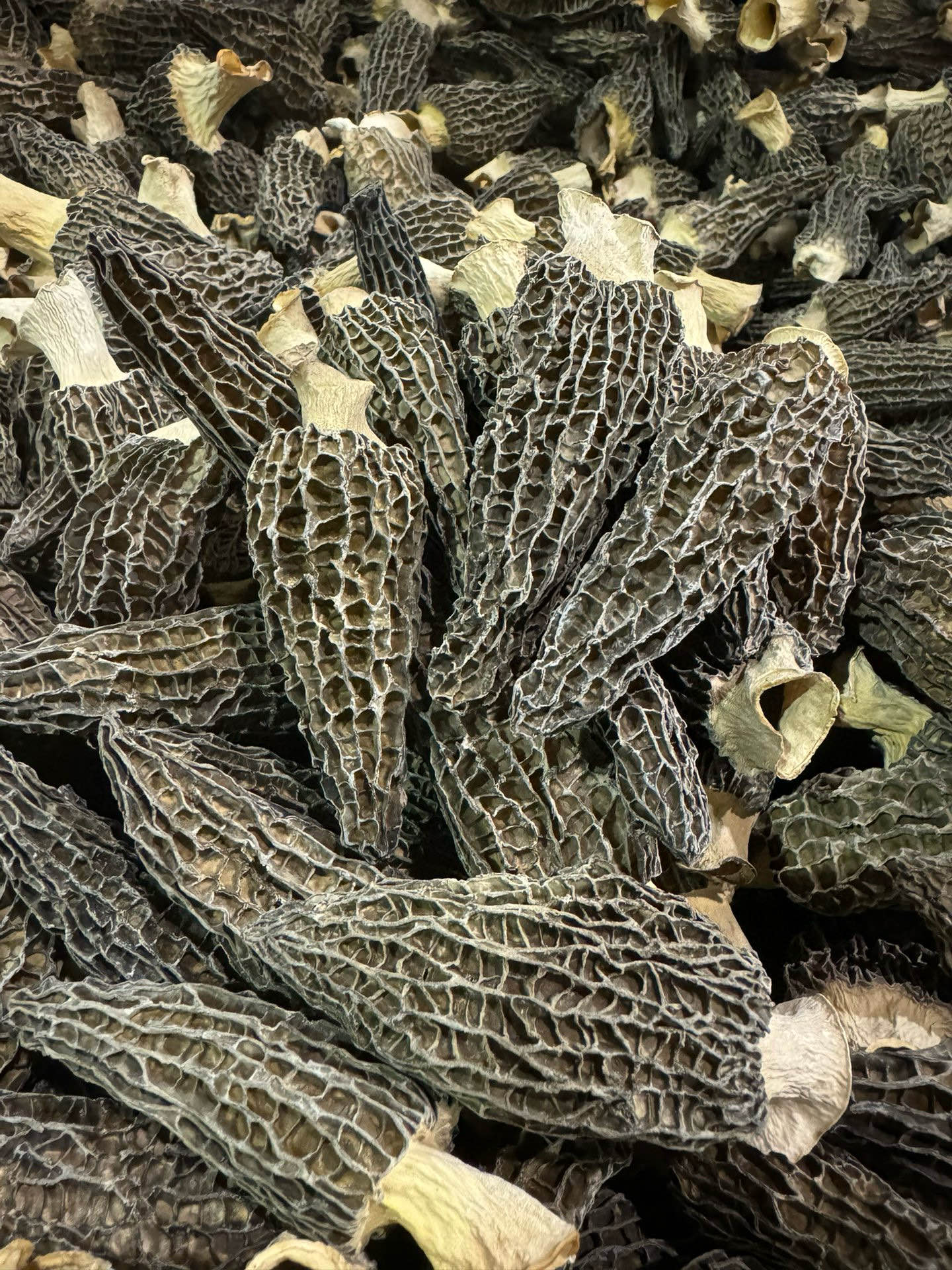 干羊肚菌（中号）半磅装