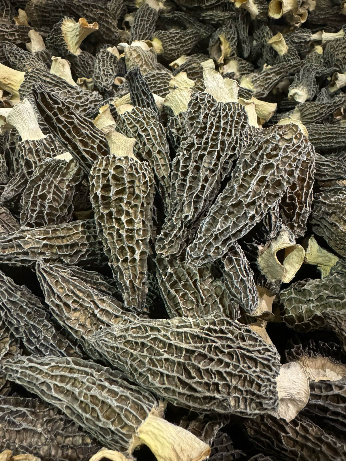 干羊肚菌（中号）半磅装