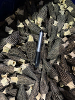 干羊肚菌（中号）半磅装